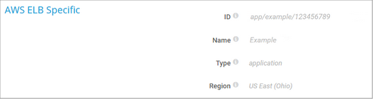 AWS ELB Specific